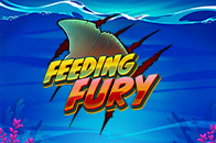 Feeding Fury